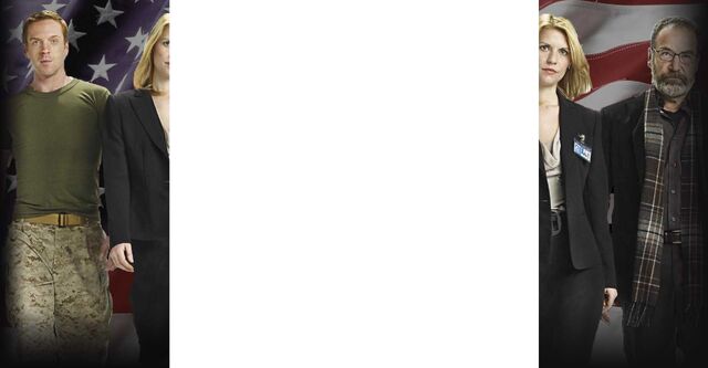 File:Homelandskin.jpg