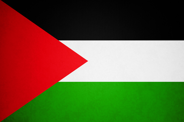 File:Flag of Palestine.png