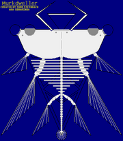 Murkdweller Skeletal