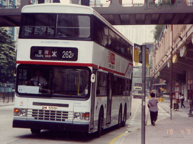 檔案:262P.jpg