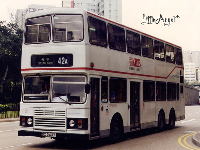檔案:DX2437 42A.jpg