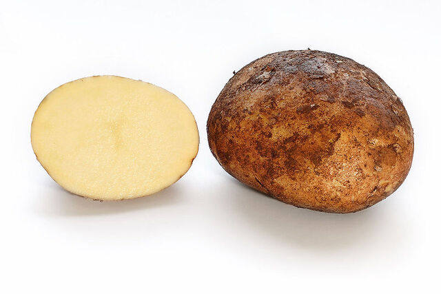 File:Potato.jpg