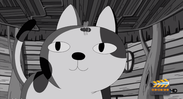 Archivo:Gato9.png