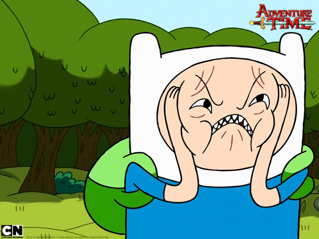 Archivo:At 1024x768 finn picture1.jpg