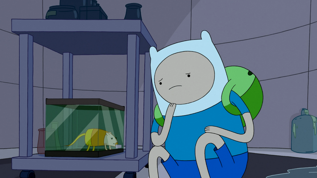 Archivo:FBTW-170.png