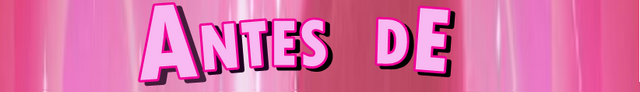 Archivo:ANTES DE.png