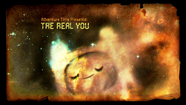 Vlcsnap-2012-03-11-20h59m42s11.png