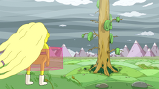 S5e51 future Lemonhope tree
