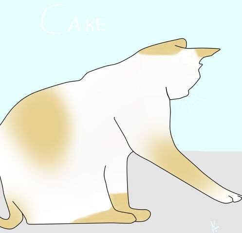 Archivo:Cake.jpg