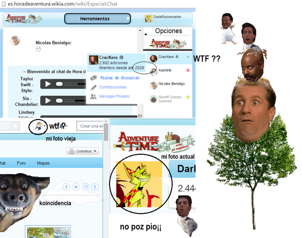 Archivo:Rarezas.png