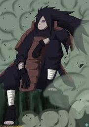 Images (9)