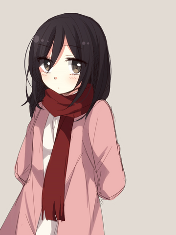 Archivo:Mikasa.png