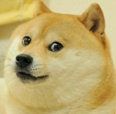 Archivo:Doge.jpeg