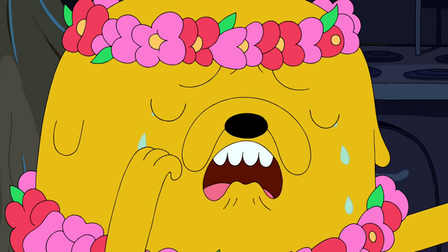 Archivo:ITY1.png