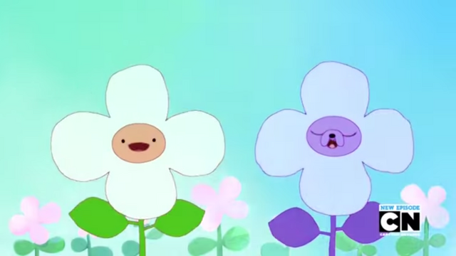 Archivo:12343.png