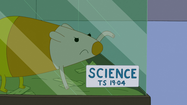 Archivo:FBTW-169.png