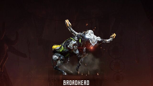 Файл:Broadhead.jpg