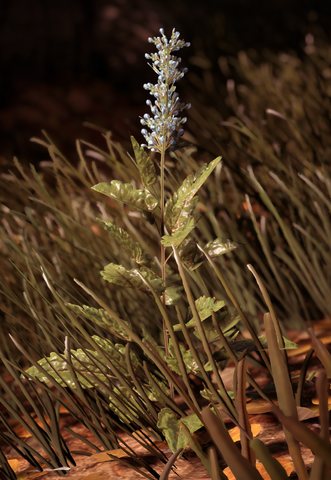 File:Shock Wax Root.png