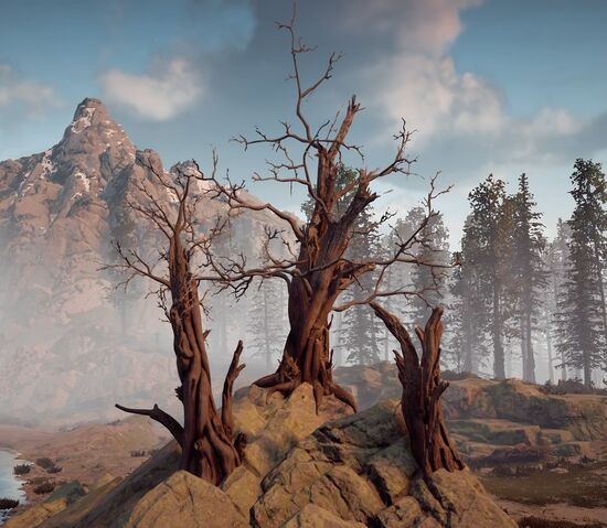 File:Three Dead Trees.jpg
