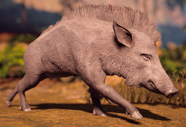Datei:Wildschwein.jpg