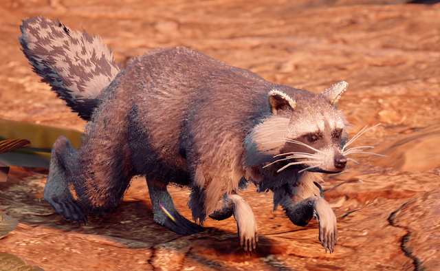 File:Raccoon.png