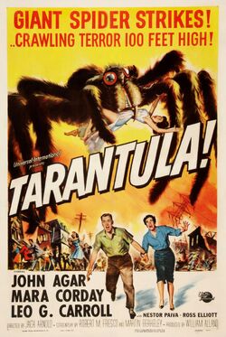 Tarantola locandina