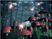 Faerietroop