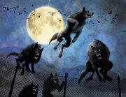 Werewolf-pack