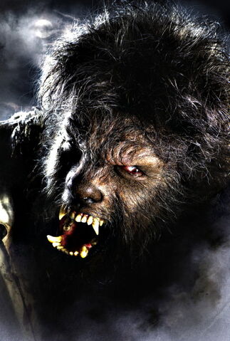 File:Wolf Man (2009) 01.jpg