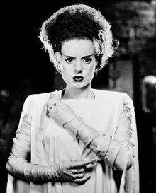 Bride of Frankenstein (Universal Classics) 001