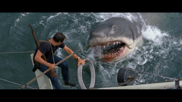File:Brody shark.png