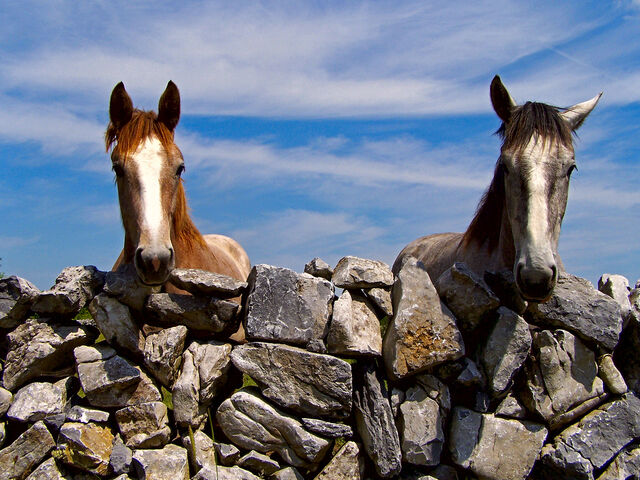 File:Podge and Rodge.jpg