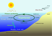 Nutrient-cycle hg