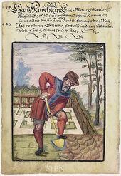 Mendel II 073 v