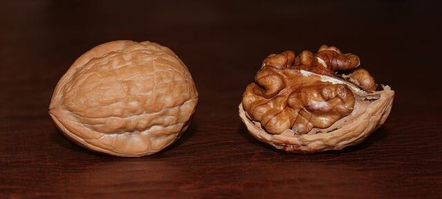 File:800px-English Walnuts.jpg