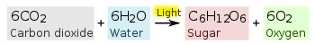 350px-Photosynthesis equation.svg