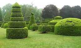 Topiary