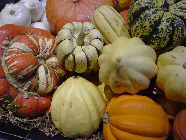 File:Squashes.jpg