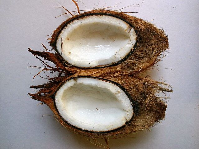 File:799px-Cocos nucifera00.jpg