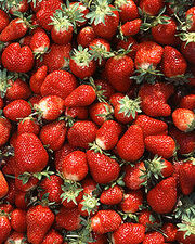 220px-Chandler strawberries