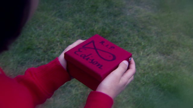 Datei:Edison.png