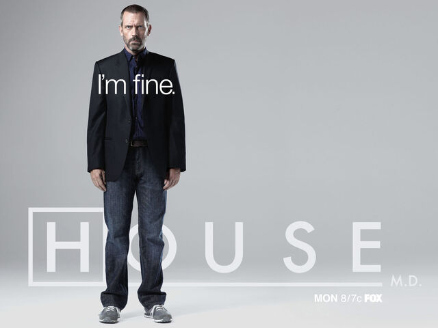 Datei:House wallp08.jpg