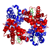 1GZX Haemoglobin