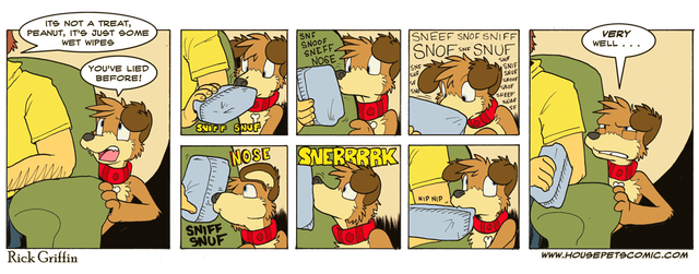 File:Olfactory Assessment.png