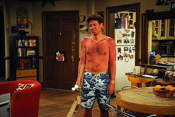HOW-I-MET-YOUR-MOTHER-Challenge-Accepted-Season-6-Episode-24-8.jpg