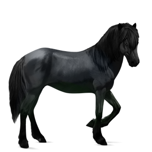 File:Brumby3.png
