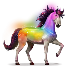 Secret Rainbow
