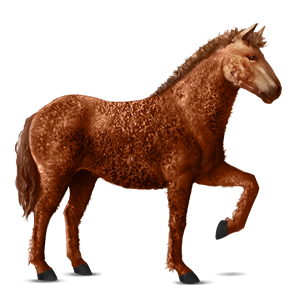 File:Alz-grand.png