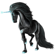 Friesian Beauty