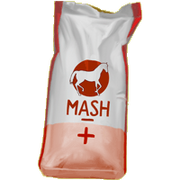 Mash-sante